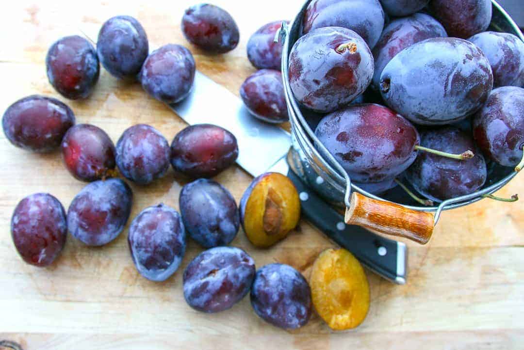 Plums Freshly Picked