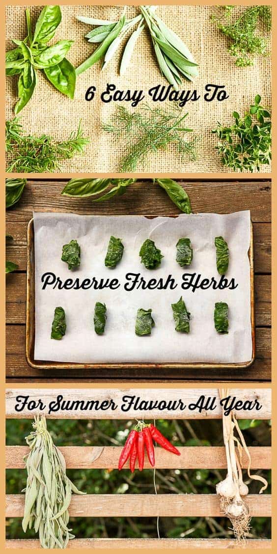 Preserving Fresh Herbs - 6 Ways For Summer Flavour All Year Long