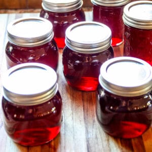 Jars of grape jelly on a wooden counter.