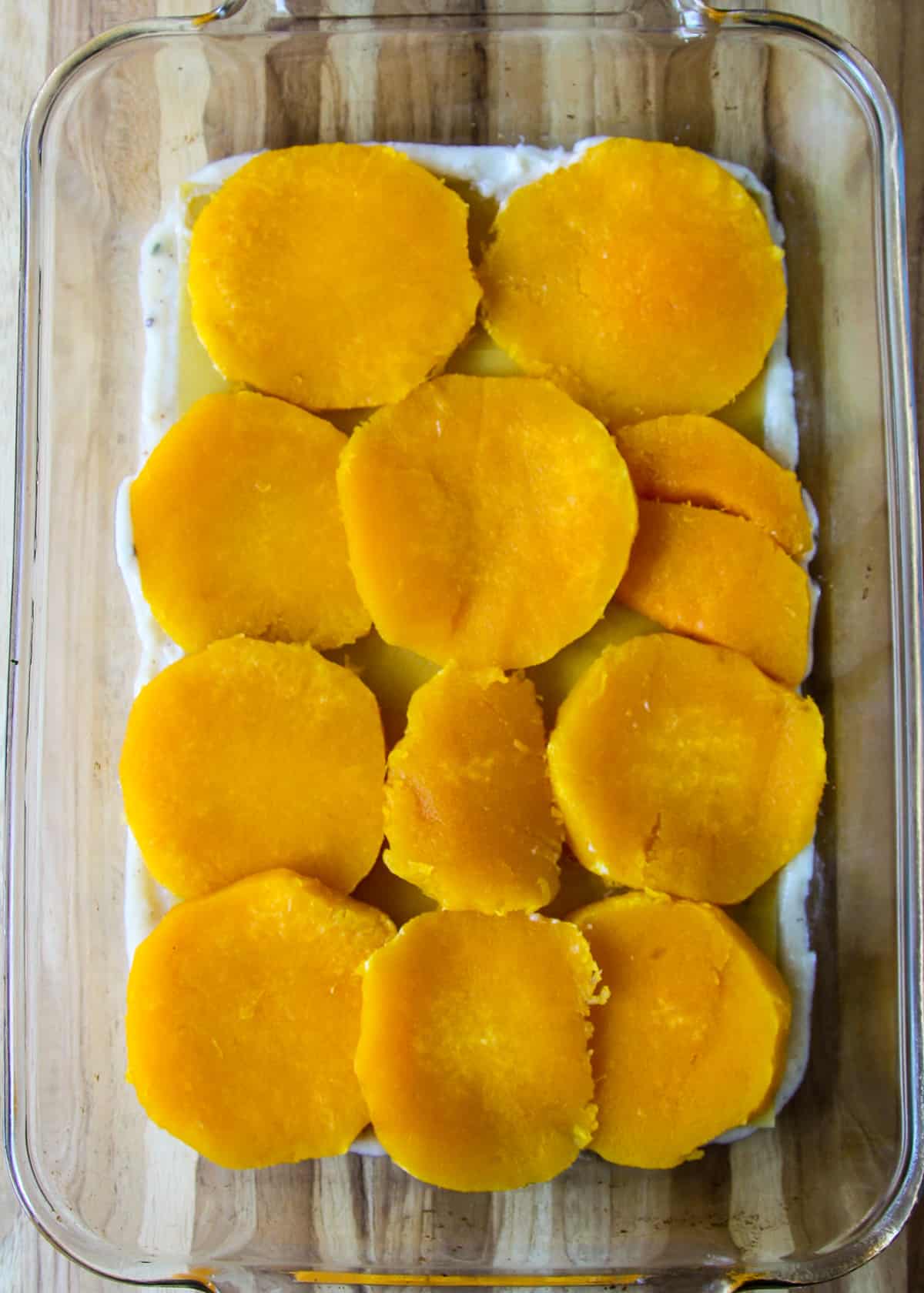 A layer of roasted butternut squash slices in the lasagna pan. 